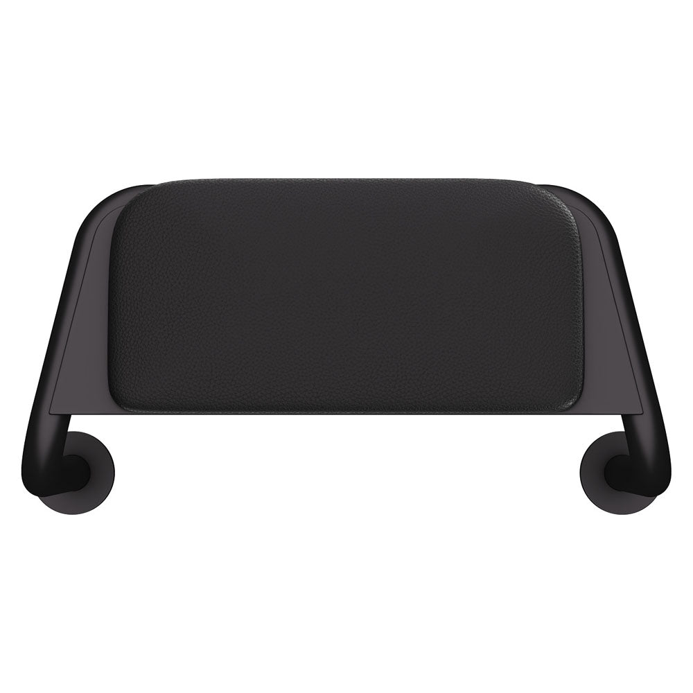 Care Back Rest with Cushion Plate, Matte Black
