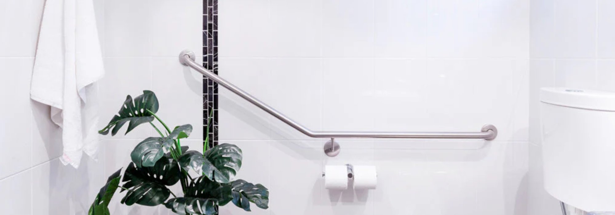 Care & Commercial - Hand Rail & Back Rest