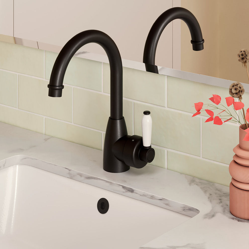 Eleanor Gooseneck Basin Mixer
