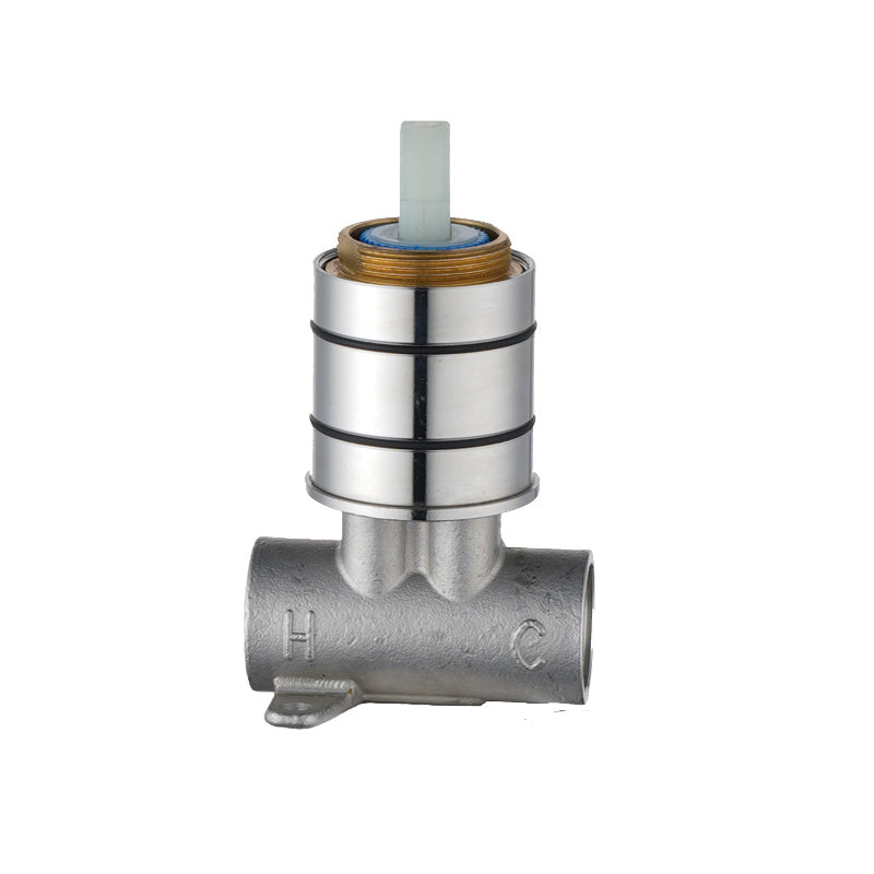 Wall Mixer In-wall Part (Single Function)