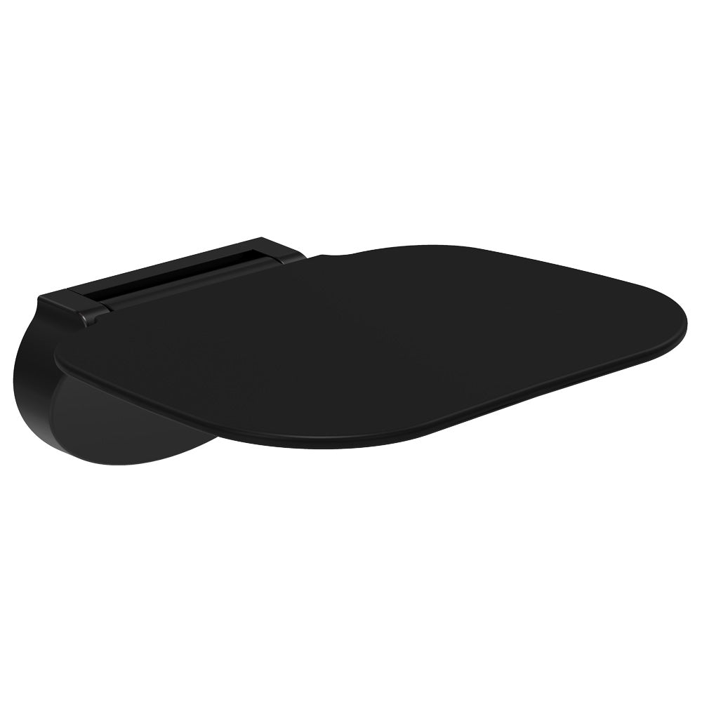 Care Folding Shower Seat, Matte Black Base, Satin Black Seat