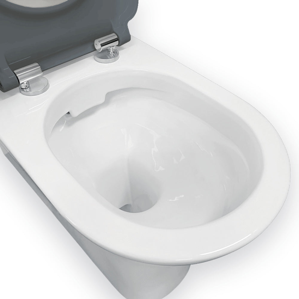 Delta Care Back-to-Wall Toilet Suite, Gloss White with Grey Seat