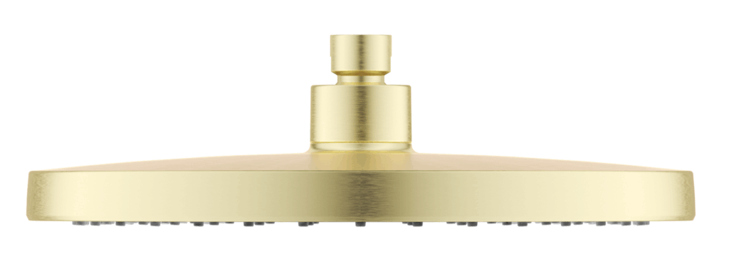Mica 6H Shower Head