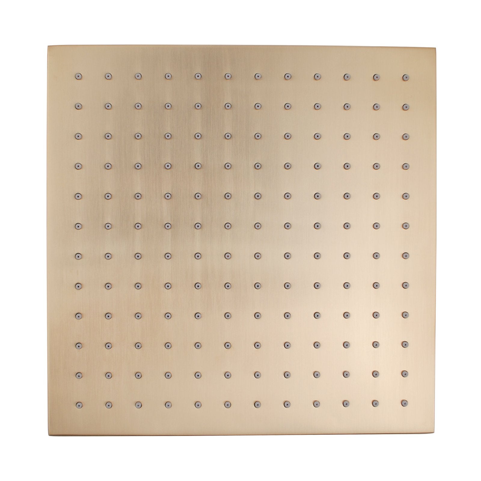 Norico Cavallo 250mm Brushed Yellow Gold Soild Brass Shower Head